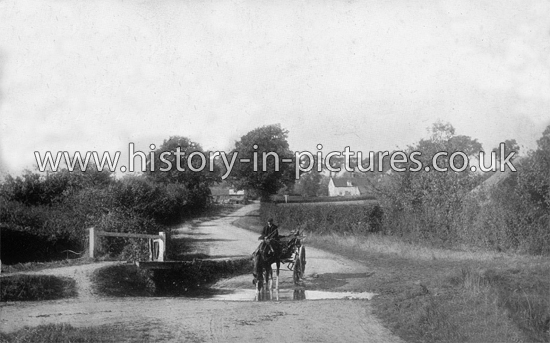 The Ford at West Hanningfield, Essex. c.1904
